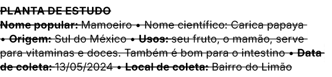 Planta de estudo Nome popular: Mamoeiro • Nome cient fico: Carica papaya • Origem: Sul do M xico • Usos: seu fruto, o...