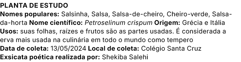 Planta de estudo Nomes populares: Salsinha, Salsa, Salsa de cheiro, Cheiro verde, Salsa da horta Nome cient fico: Pet...