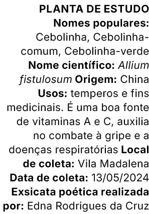Planta de estudo Nomes populares: Cebolinha, Cebolinha comum, Cebolinha verde Nome cient fico: Allium fistulosum Orig...