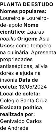 Planta de estudo Nomes populares: Loureiro e Loureiro de apolo Nome cient fico: Laurus nobilis Origem: sia Usos: com...