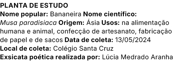 Planta de estudo Nome popular: Bananeira Nome cient fico: Musa paradisiaca Origem: sia Usos: na alimenta  o humana e...