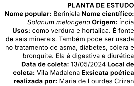 Planta de estudo Nome popular: Berinjela Nome cient fico: Solanum melongena Origem: ndia Usos: como verdura e hortal...