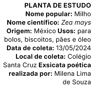 Planta de estudo Nome popular: Milho Nome cient fico: Zea mays Origem: M xico Usos: para bolos, biscoitos, p es e le...