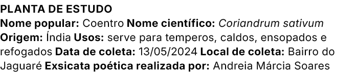 Planta de estudo Nome popular: Coentro Nome cient fico: Coriandrum sativum Origem: ndia Usos: serve para temperos, c...