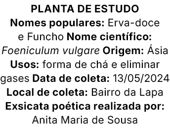 Planta de estudo Nomes populares: Erva doce e Funcho Nome cient fico: Foeniculum vulgare Origem: sia Usos: forma de ...