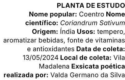 Planta de estudo Nome popular: Coentro Nome cient fico: Coriandrum Sativum Origem: ndia Usos: tempero, aromatizar be...