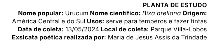 Planta de estudo Nome popular: Urucum Nome cient fico: Bixa orellana Origem: Am rica Central e do Sul Usos: serve par...