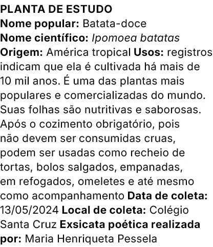 Planta de estudo Nome popular: Batata doce Nome cient fico: Ipomoea batatas Origem: Am rica tropical Usos: registros ...