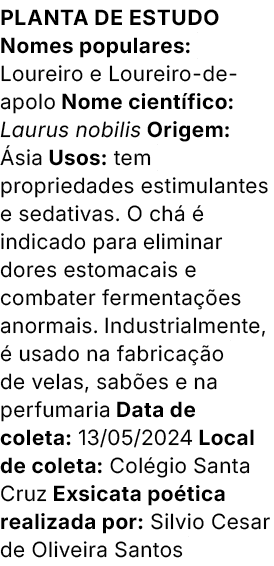 Planta de estudo Nomes populares: Loureiro e Loureiro de apolo Nome cient fico: Laurus nobilis Origem: sia Usos: tem...