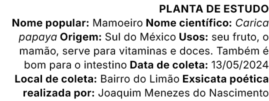 Planta de estudo Nome popular: Mamoeiro Nome cient fico: Carica papaya Origem: Sul do M xico Usos: seu fruto, o mam o...