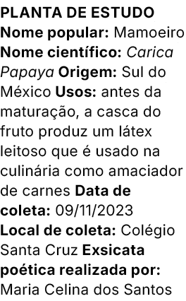 Planta de estudo Nome popular: Mamoeiro Nome cient fico: Carica Papaya Origem: Sul do M xico Usos: antes da matura o...