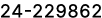 24 229862