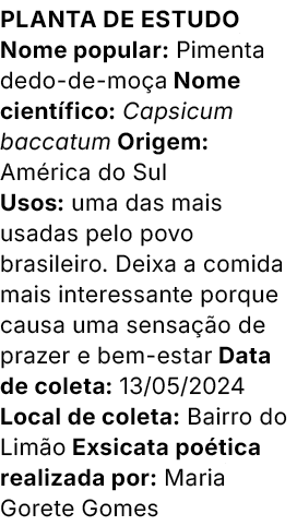 Planta de estudo Nome popular: Pimenta dedo de mo a Nome cient fico: Capsicum baccatum Origem: Am rica do Sul Usos: u...