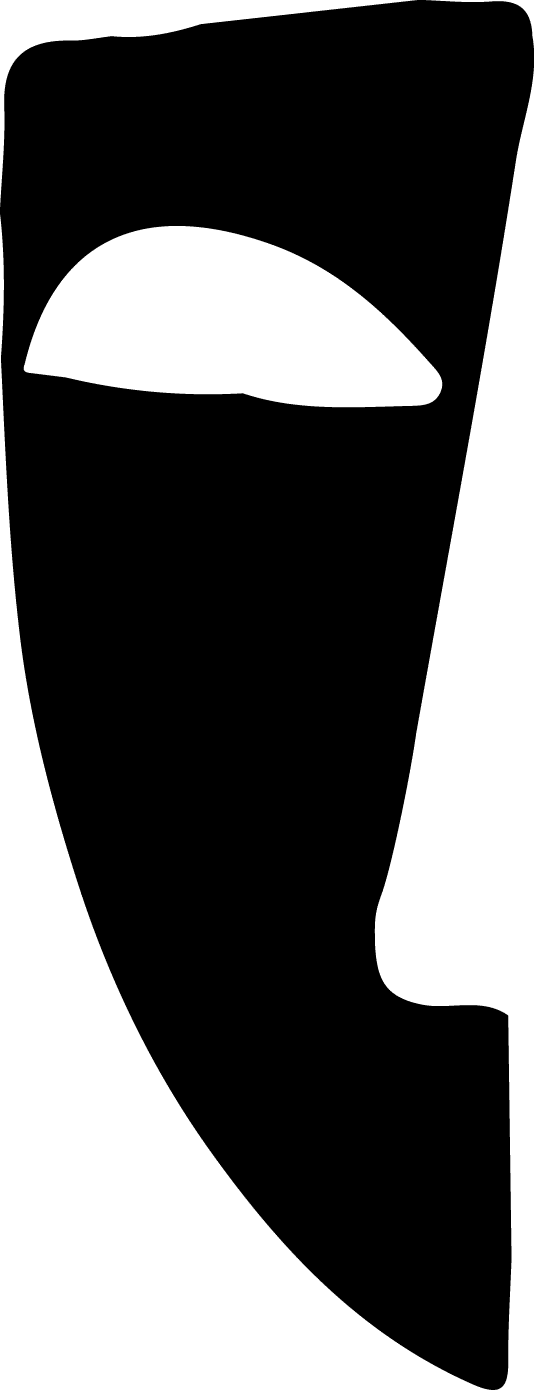 Polygon