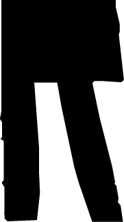 Polygon