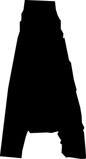 Polygon