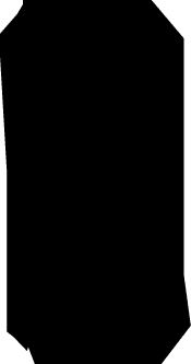 Polygon