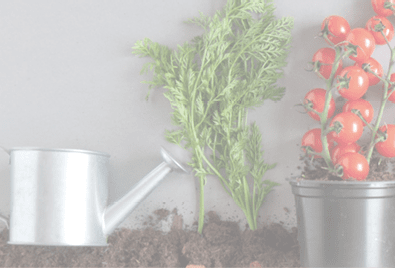 Organic fruits and vegetables growing in compost