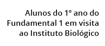 Alunos do 1º ano do Fundamental 1 em visita ao Instituto Biol gico