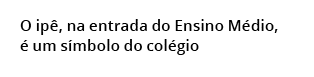 O ip , na entrada do Ensino M dio,  um s mbolo do col gio