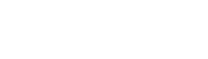 UM ESTUDO SOBRE ESCOLA DE GOVERNO