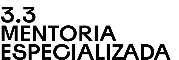 3.3 Mentoria especializada 