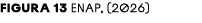 FIGURA 13 ENAP, (2026)