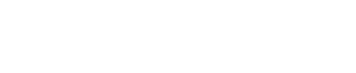 N cleo Estrat gico e de Inova o