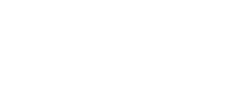 REVIS O DE LITERATURA